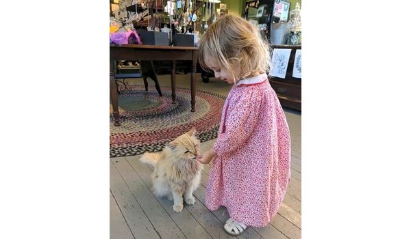 Belle the cat licking fingers of little girl 600